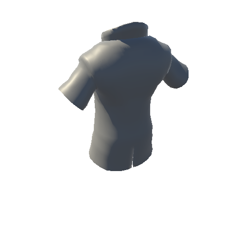 M_Shirt 4_Skinned